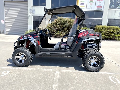 300CC UTV Challenger Dune Buggy Go kart Off Road Water Cool 2 Seater Auto Diff