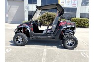 300CC UTV Challenger Dune Buggy Go kart Off Road Water Cool 2 Seater Auto Diff
