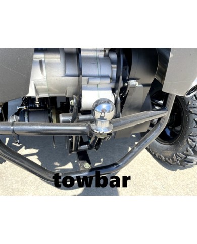 300CC UTV Challenger Dune Buggy Go kart Off Road Water Cool 2 Seater Auto Diff