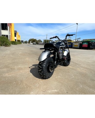 MB200 TrailMaster Hurricane 200X Mini Bike Coleman Full sized Kids Adults Bike BLACK