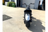 MB200 TrailMaster Hurricane 200X Mini Bike Coleman Full sized Kids Adults Bike BLACK