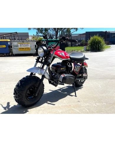 MB200 TrailMaster Hurricane 200X Mini Bike Coleman Full sized Kids Adults Bike RED