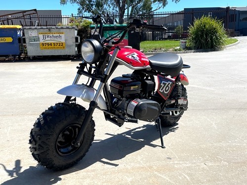 MB200 TrailMaster Hurricane 200X Mini Bike Coleman Full sized Kids Adults Bike RED
