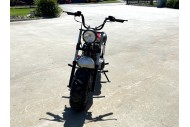 MB200 TrailMaster Hurricane 200X Mini Bike Coleman Full sized Kids Adults Bike RED