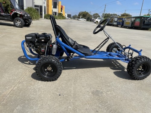 200cc 6.5HP Go Kart Wet Clutch Dune Buggy ATV Quad 4 Stroke Adult/Teen/Kid Sizes  BLUE