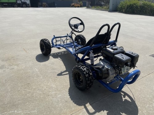 200cc 6.5HP Go Kart Wet Clutch Dune Buggy ATV Quad 4 Stroke Adult/Teen/Kid Sizes  BLUE