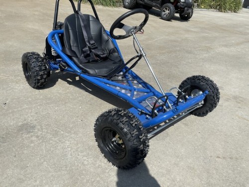 200cc 6.5HP Go Kart Wet Clutch Dune Buggy ATV Quad 4 Stroke Adult/Teen/Kid Sizes  BLUE