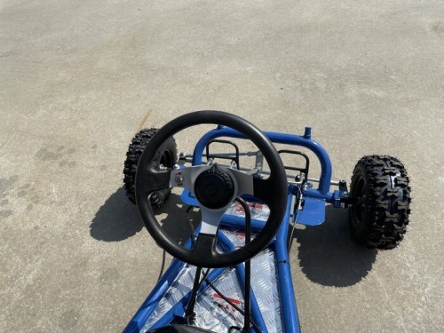 200cc 6.5HP Go Kart Wet Clutch Dune Buggy ATV Quad 4 Stroke Adult/Teen/Kid Sizes  BLUE