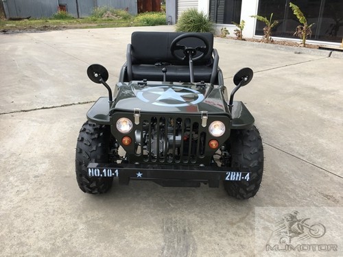 2017 150cc Mini Willy Jeep Replica 2WD Semi Auto Golf Cart Twin Seat Kids Adults