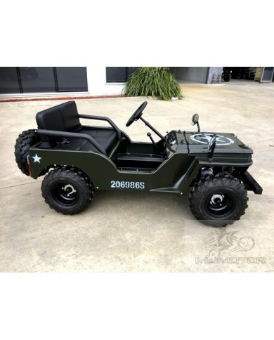 2017 150cc Mini Willy Jeep Replica 2WD Semi Auto Golf Cart Twin Seat Kids Adults