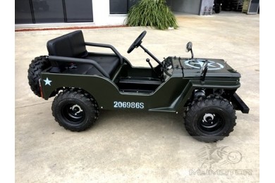 2017 150cc Mini Willy Jeep Replica 2WD Semi Auto Golf Cart Twin Seat Kids Adults