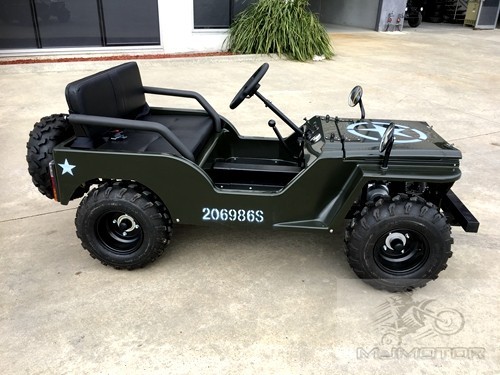 2017 150cc Mini Willy Jeep Replica 2WD Semi Auto Golf Cart Twin Seat Kids Adults