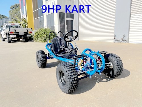 OFFROAD 9HP 270CC GO KART SINGLE SEAT ADULT BUGGY QUAD ATV SUSPENSION WET CLUTCH BLUE