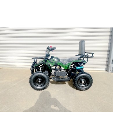 WILDFORCE49 49CC FARM QUAD BIKE ATV BUGGY KIDS 4 WHEELER HUASHENG 2-STROKE MJ MOTORGREEN