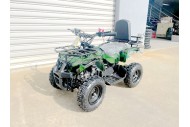 WILDFORCE49 49CC FARM QUAD BIKE ATV BUGGY KIDS 4 WHEELER HUASHENG 2-STROKE MJ MOTORGREEN