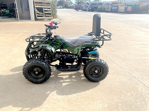 WILDFORCE49 49CC FARM QUAD BIKE ATV BUGGY KIDS 4 WHEELER HUASHENG 2-STROKE MJ MOTORGREEN