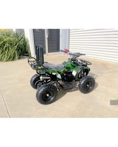 WILDFORCE49 49CC FARM QUAD BIKE ATV BUGGY KIDS 4 WHEELER HUASHENG 2-STROKE MJ MOTORGREEN