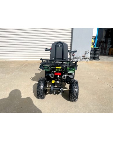 WILDFORCE49 49CC FARM QUAD BIKE ATV BUGGY KIDS 4 WHEELER HUASHENG 2-STROKE MJ MOTORGREEN