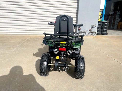 WILDFORCE49 49CC FARM QUAD BIKE ATV BUGGY KIDS 4 WHEELER HUASHENG 2-STROKE MJ MOTORGREEN