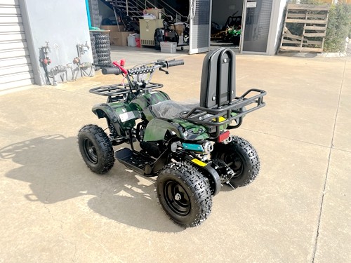 WILDFORCE49 49CC FARM QUAD BIKE ATV BUGGY KIDS 4 WHEELER HUASHENG 2-STROKE MJ MOTORGREEN