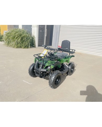 WILDFORCE49 49CC FARM QUAD BIKE ATV BUGGY KIDS 4 WHEELER HUASHENG 2-STROKE MJ MOTORGREEN