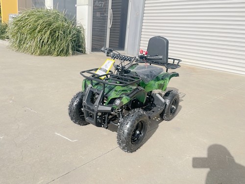 WILDFORCE49 49CC FARM QUAD BIKE ATV BUGGY KIDS 4 WHEELER HUASHENG 2-STROKE MJ MOTORGREEN
