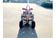 125CC ATV Sport Quad Dirt Bike 4 Wheel Buggy Go kart Rear Rack Semi Auto 3+1 Ranger red