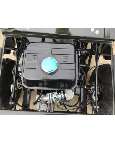 2017 150cc Mini Willy Jeep Replica 2WD Semi Auto Golf Cart Twin Seat Kids Adults
