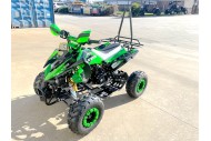 125CC ATV Sport Quad Dirt Bike 4 Wheel Buggy Go kart Rear Rack Semi Auto 3+1 RANGER GREEN