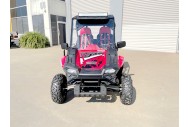 200CC UTV Challenger 200EX Dune Buggy Go kart Off Road 2 Seater Auto CVT EFI