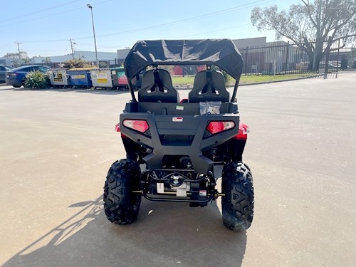 200CC UTV Challenger 200EX Dune Buggy Go kart Off Road 2 Seater Auto CVT EFI
