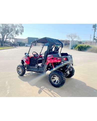 200CC UTV Challenger 200EX Dune Buggy Go kart Off Road 2 Seater Auto CVT EFI