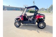 200CC UTV Challenger 200EX Dune Buggy Go kart Off Road 2 Seater Auto CVT EFI