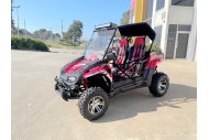 200CC UTV Challenger 200EX Dune Buggy Go kart Off Road 2 Seater Auto CVT EFI