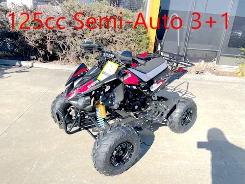 125CC ATV Sport Quad Dirt Bike 4 Wheel Buggy Go kart Rear Rack Semi Auto 3+1 Ranger Black