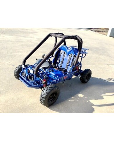90cc Offroad Dune Buggy Quad ATV Teen Twin Seat Gokart Kids