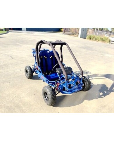 90cc Offroad Dune Buggy Quad ATV Teen Twin Seat Gokart Kids