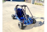 90cc Offroad Dune Buggy Quad ATV Teen Twin Seat Gokart Kids
