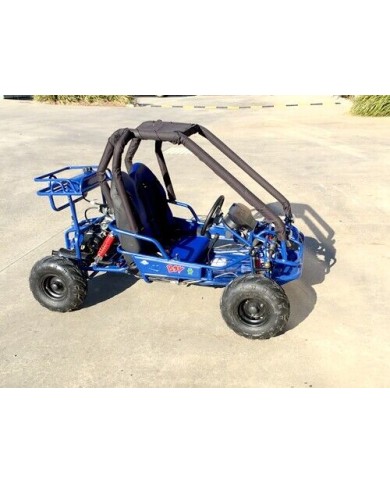 90cc Offroad Dune Buggy Quad ATV Teen Twin Seat Gokart Kids