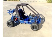 90cc Offroad Dune Buggy Quad ATV Teen Twin Seat Gokart Kids