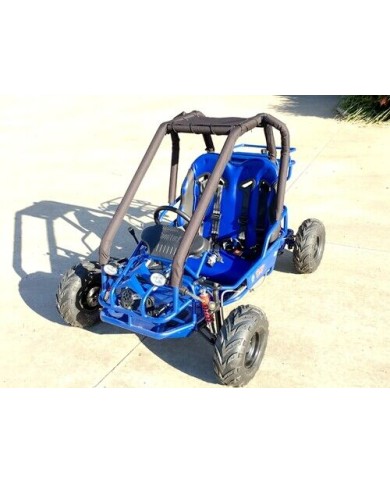 90cc Offroad Dune Buggy Quad ATV Teen Twin Seat Gokart Kids