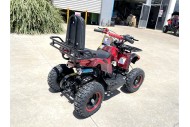 49cc Mini Farm Quad Bike, ATV Buggy Kids, 4 Wheeler Pocket, Pit Dirt Bike in Red