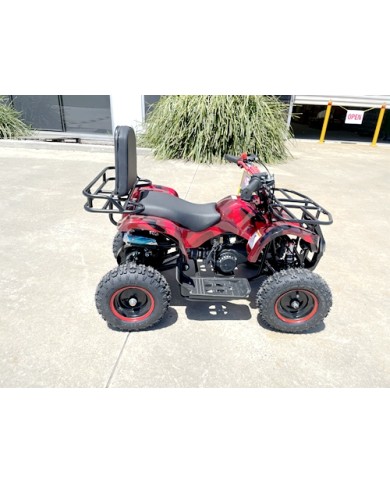 49cc Mini Farm Quad Bike, ATV Buggy Kids, 4 Wheeler Pocket, Pit Dirt Bike in Red