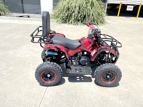 49cc Mini Farm Quad Bike, ATV Buggy Kids, 4 Wheeler Pocket, Pit Dirt Bike in Red