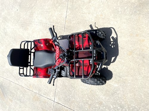 49cc Mini Farm Quad Bike, ATV Buggy Kids, 4 Wheeler Pocket, Pit Dirt Bike in Red