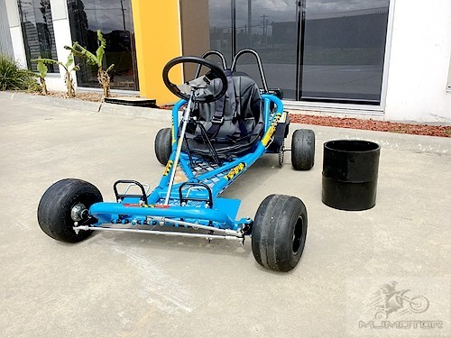 2017 200CC 6.5HP Drift Trike Go Kart Dune Buggy Quad 4 Stroke Upgraded Sleeves