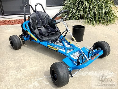 2017 200CC 6.5HP Drift Trike Go Kart Dune Buggy Quad 4 Stroke Upgraded Sleeves