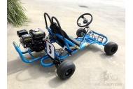 2017 200CC 6.5HP Drift Trike Go Kart Dune Buggy Quad 4 Stroke Upgraded Sleeves
