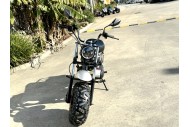 MB200X TrailMaster Hurricane Mini Bike Coleman Full sized REC-REG E-start BLACK
