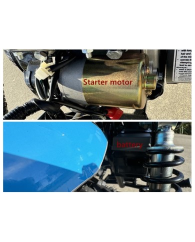 MB200X TrailMaster Hurricane Mini Bike Coleman Full sized REC-REG E-start BLACK